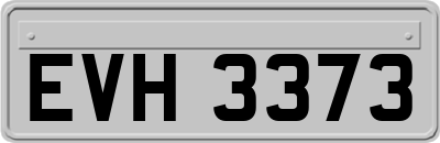 EVH3373