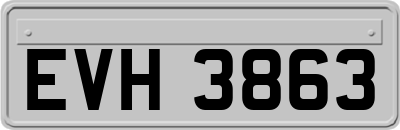 EVH3863