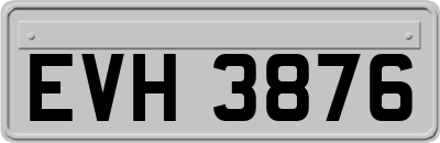 EVH3876