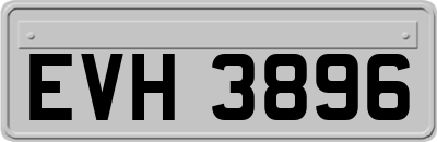 EVH3896