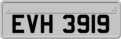 EVH3919