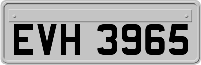 EVH3965