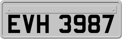 EVH3987