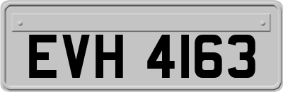 EVH4163