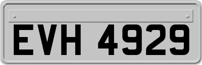 EVH4929