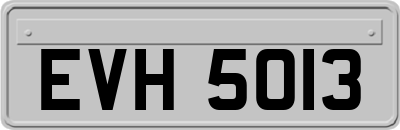 EVH5013