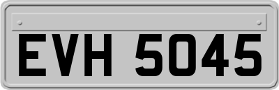 EVH5045