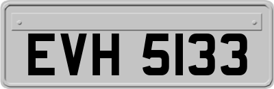 EVH5133
