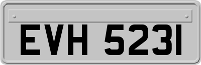 EVH5231