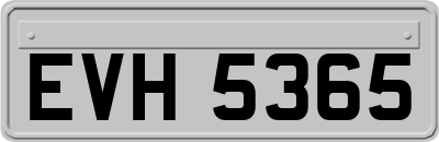 EVH5365