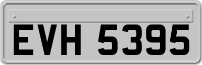 EVH5395