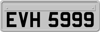 EVH5999