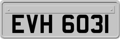 EVH6031