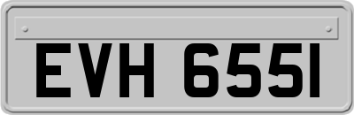 EVH6551