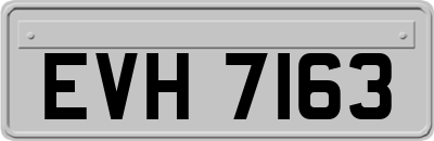 EVH7163