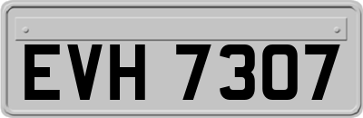 EVH7307