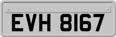 EVH8167