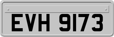 EVH9173