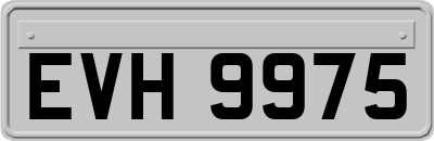 EVH9975