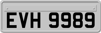 EVH9989