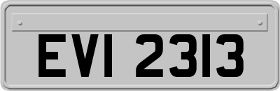 EVI2313