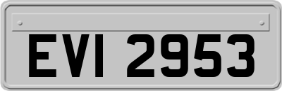 EVI2953