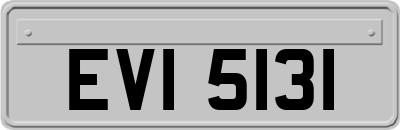 EVI5131