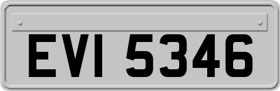 EVI5346