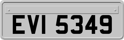 EVI5349