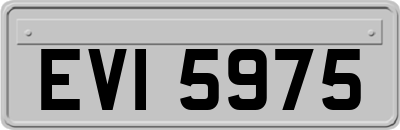 EVI5975