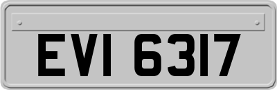 EVI6317