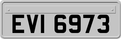 EVI6973