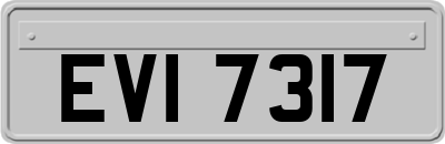 EVI7317