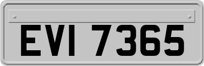 EVI7365