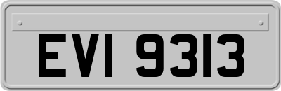 EVI9313