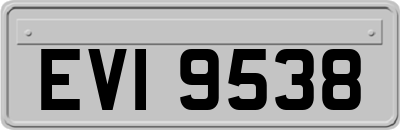 EVI9538