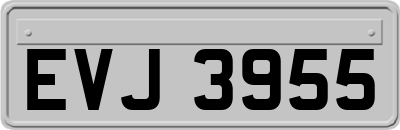 EVJ3955