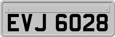 EVJ6028