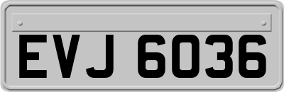 EVJ6036