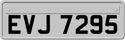 EVJ7295