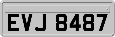 EVJ8487