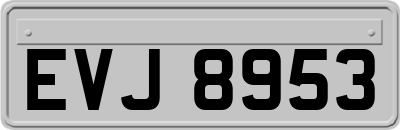 EVJ8953