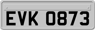 EVK0873