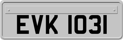 EVK1031
