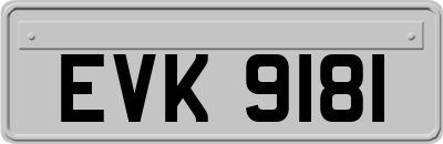 EVK9181