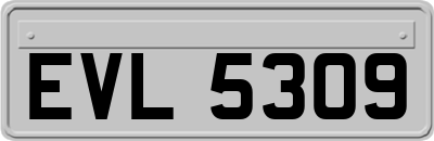 EVL5309