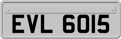 EVL6015
