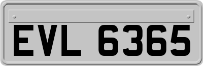 EVL6365
