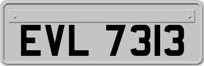 EVL7313