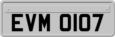 EVM0107